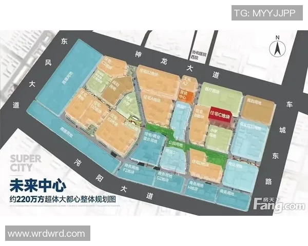 武汉乒乓球队状态对比深度解析与未来发展趋势探讨 武汉乒乓球队状态对比深度解析与未来发展趋势探讨