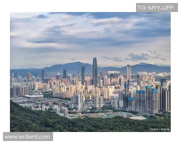 2015年上海与深圳对比视频回顾城市发展与文化差异