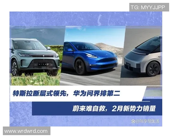 国外热议特斯拉与蔚来竞争态势分析及未来发展趋势探讨 国外热议特斯拉与蔚来竞争态势分析及未来发展趋势探讨